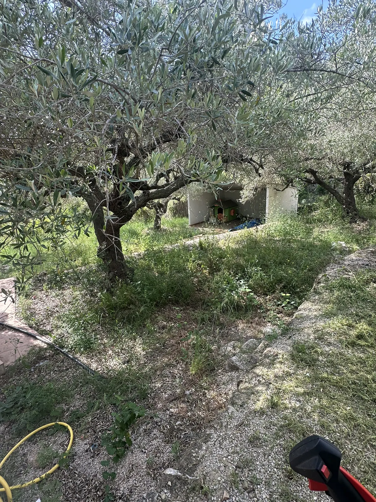 Mantenimiento de jardines antes