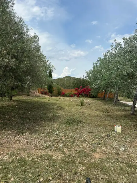 Finca recuperada en La Ràpita - después