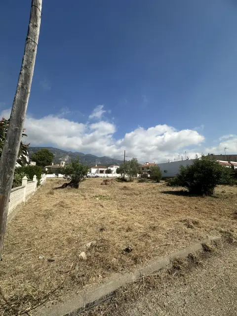 Solar urbano desbrozado - después